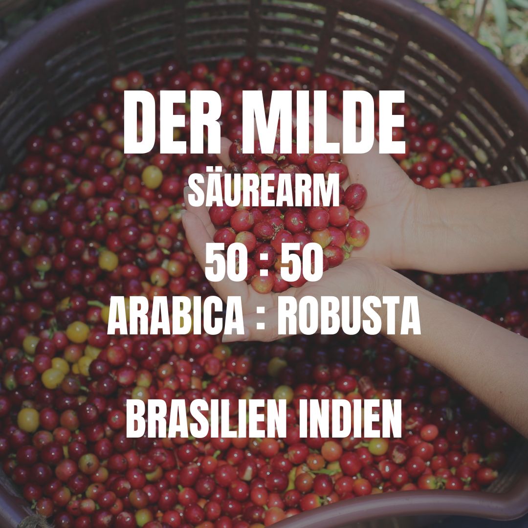 Espresso-Probierpaket 3x 40g
