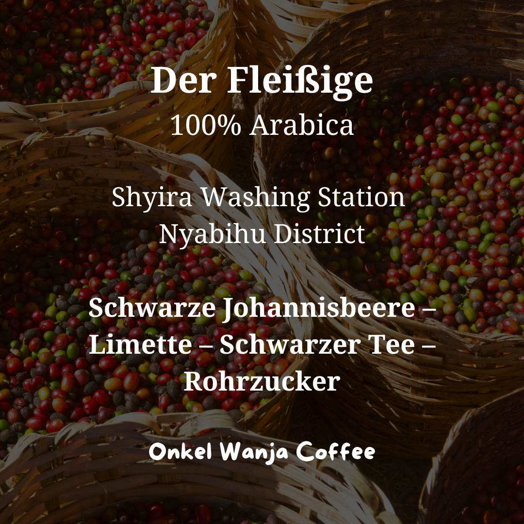 Filterkaffee aus 100% Arabica Bohnen